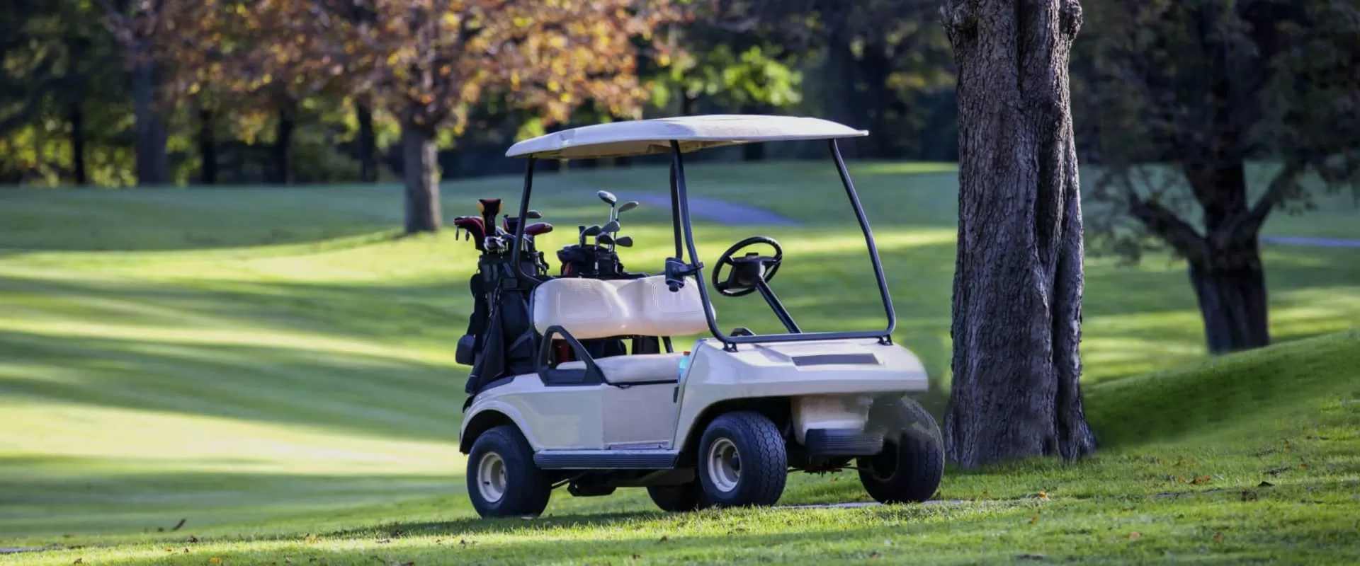 Electric Golf Carts