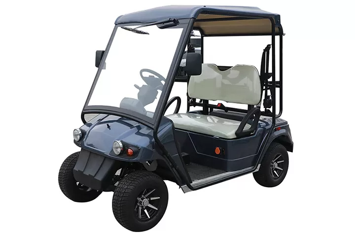 2 seater electric golf cart