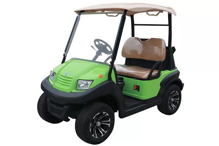 2 person electric golf cart