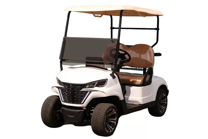 2 seat electric golf cart