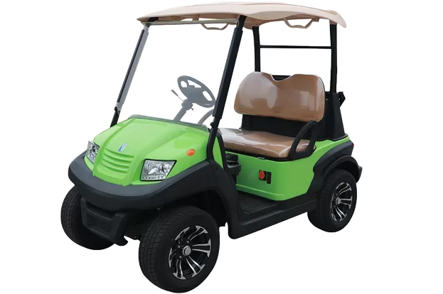 2 person electric golf cart