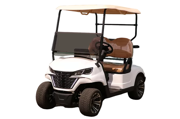 2 seat electric golf cart