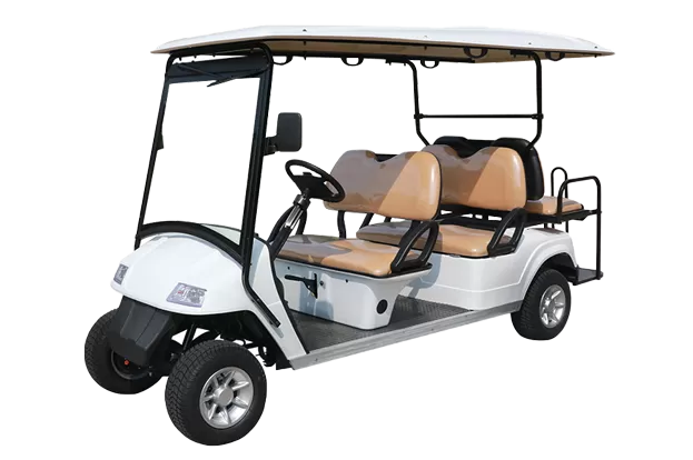 6 passenger electric golf cart