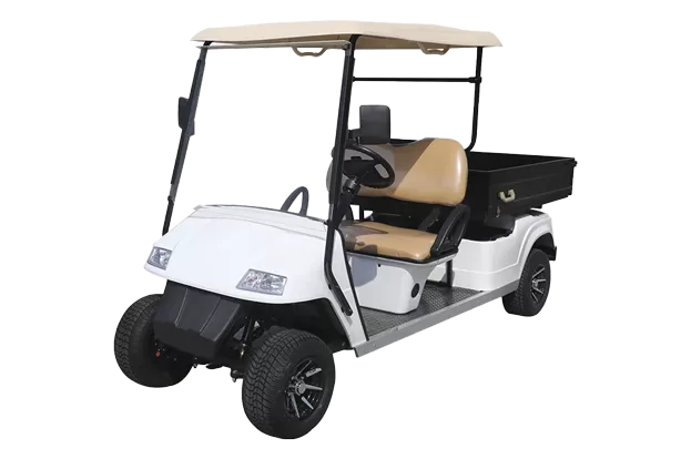 electric golf cart with cargo bed